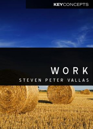 Work - A Critique