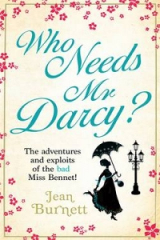 Who Needs Mr Darcy?
