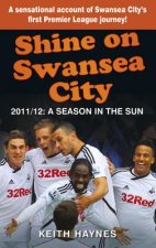 Shine On Swansea City