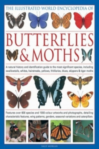 Illustrated World Encyclopedia of Butterflies & Moths