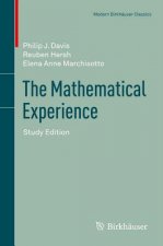 Mathematical Experience, Study Edition