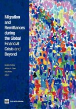 Migration and Remittances during the Global Financial Crisis and Beyond