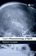 Hegel's 'Phenomenology of Spirit'