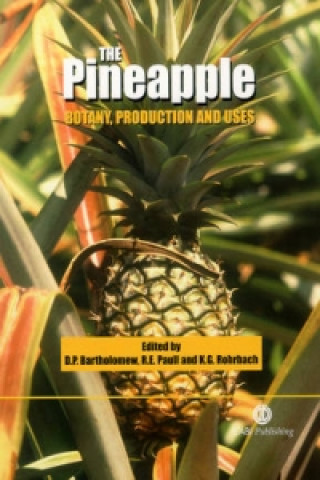 Pineapple