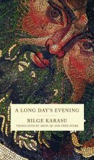 Long Day's Evening