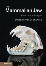 Mammalian Jaw