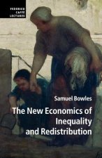 New Economics of Inequality and Redistribution