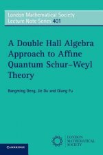 Double Hall Algebra Approach to Affine Quantum Schur-Weyl Theory