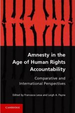 Amnesty in the Age of Human Rights Accountability