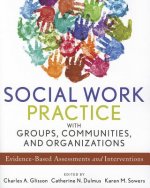 Social Work Practice with Groups, Communities, and Organizations - Evidence-Based Assessments and Interventions