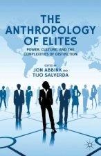 Anthropology of Elites