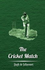 Cricket Match