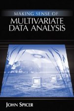 Making Sense of Multivariate Data Analysis