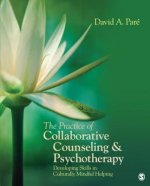 Practice of Collaborative Counseling and Psychotherapy