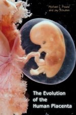 Evolution of the Human Placenta