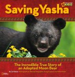 Saving Yasha