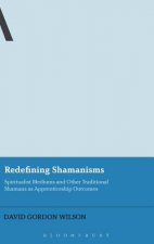 Redefining Shamanisms