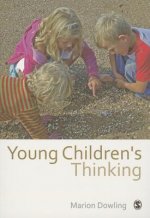 Young Children's Thinking
