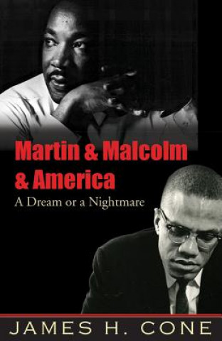 Martin and Malcolm and America