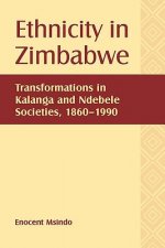 Ethnicity in Zimbabwe