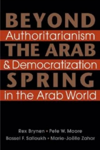 Beyond the Arab Spring