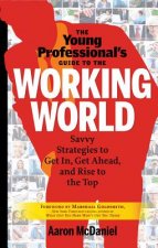 Young Professional's Guide To The Working World