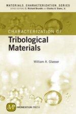 Characterization Of Tribological Materials