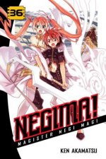 Negima! Magister Negi Magi 36