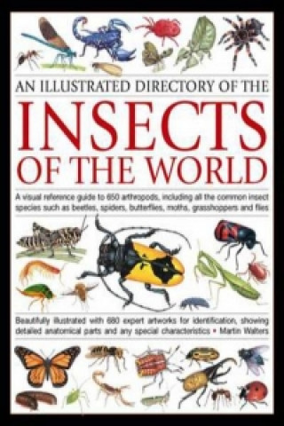 Illustrated Directory of Insects of the World