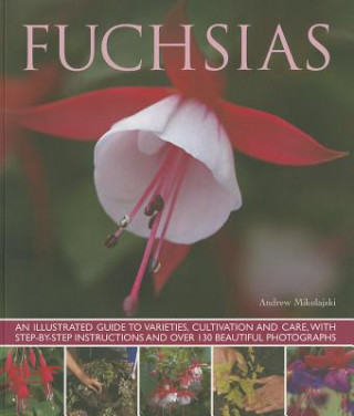 Fuchsias