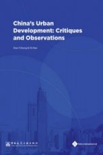Some Observations Concerning China's Urban Development