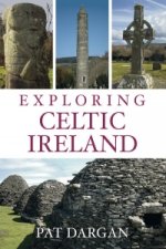 Exploring Celtic Ireland