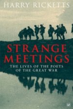 Strange Meetings