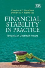 Financial Stability in Practice - Towards an Uncertain Future