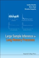 Large Sample Inference for Long Memory Processes