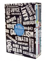 Introducing Graphic Guide box set - Great Theories of Science