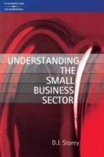 Understanding the Small Business Sector