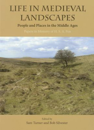 Life in Medieval Landscapes
