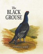 Black Grouse