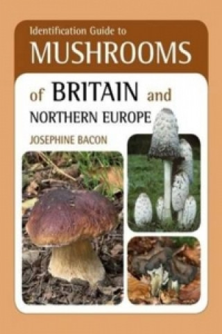 Identification Guide to Mushrooms of Britain and Northern Eu