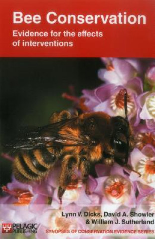Bee Conservation