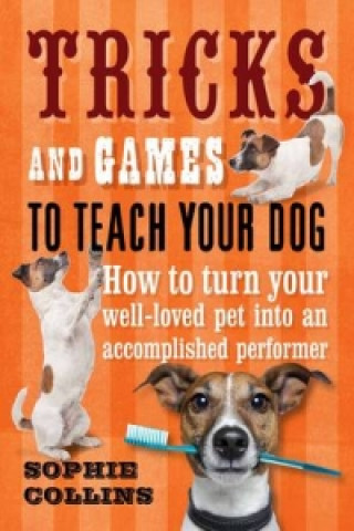 Tricks and Games to Teach Your Dog