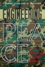 Engineering Peace