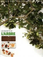 Secrets De L'Arbre