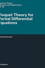 Floquet Theory for Partial Differential Equations