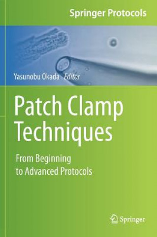 Patch Clamp Techniques
