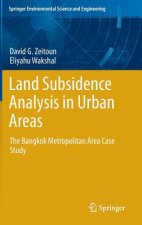 Land Subsidence Analysis in Urban Areas