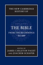 New Cambridge History of the Bible: Volume 1, From the Beginnings to 600
