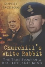 Churchill's White Rabbit