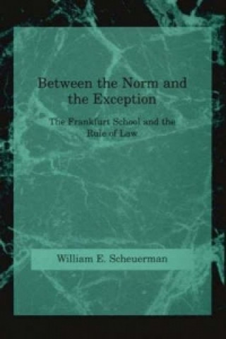 Between the Norm and the Exception